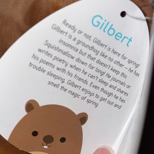 gilbert groundhog squishmallow